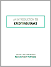 An Introduction to Credit Insurance