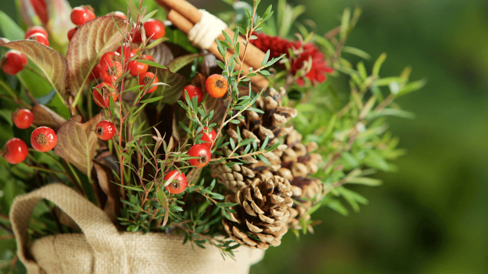 Burlap bag with holly, evergreens, berries, and pinecones