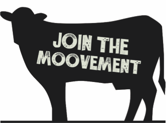 Cow Patty Bingo in Vinita