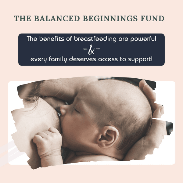 MilkWorks a nonprofit community breastfeeding center