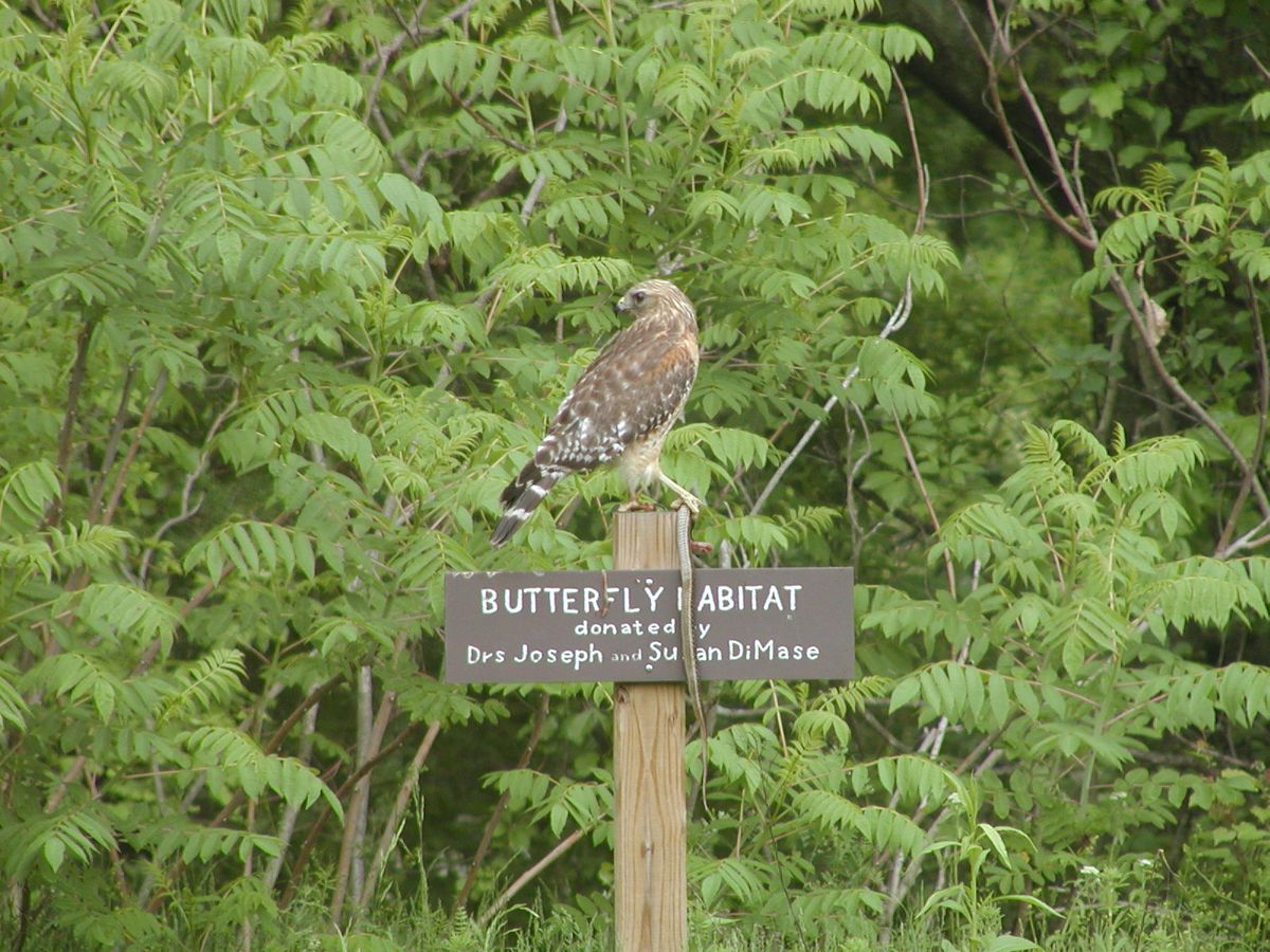 Powder Mill Ledges Wildlife Refuge