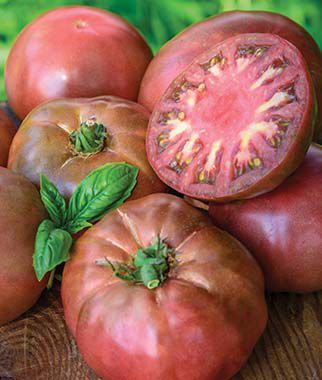 Black Krim Heirloom Tomato