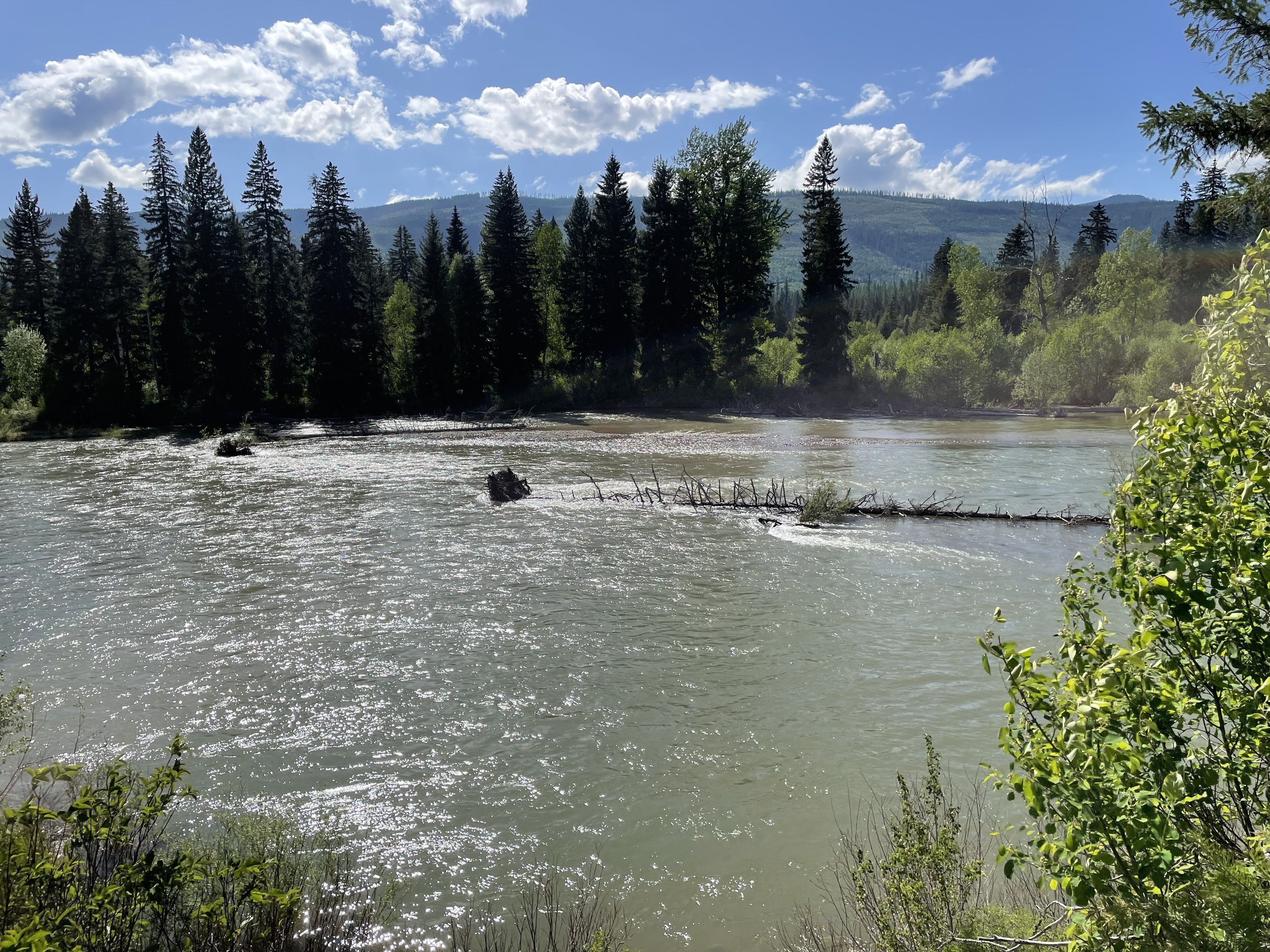A view of a high water river.