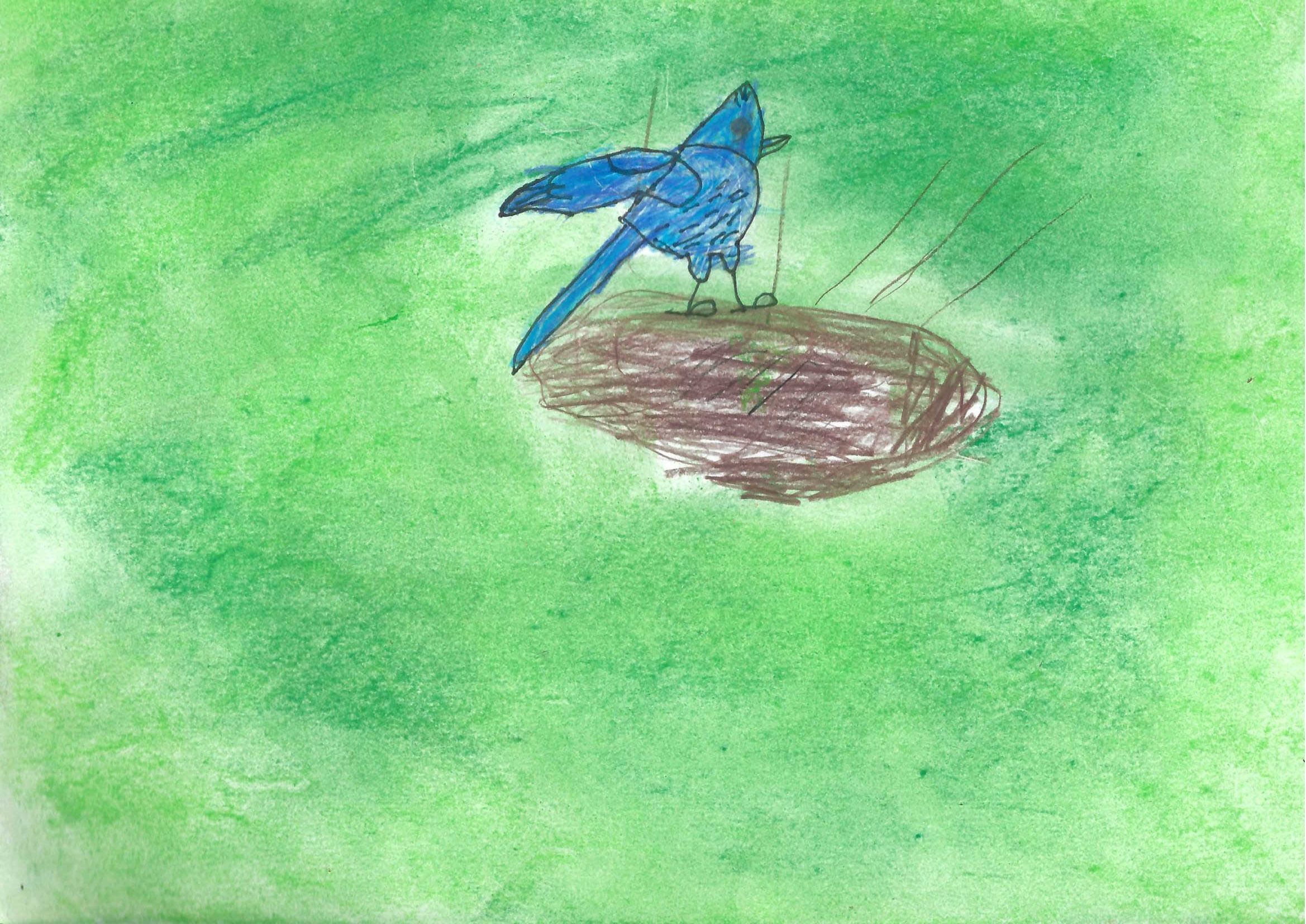 Eliseo, 3rd Grade