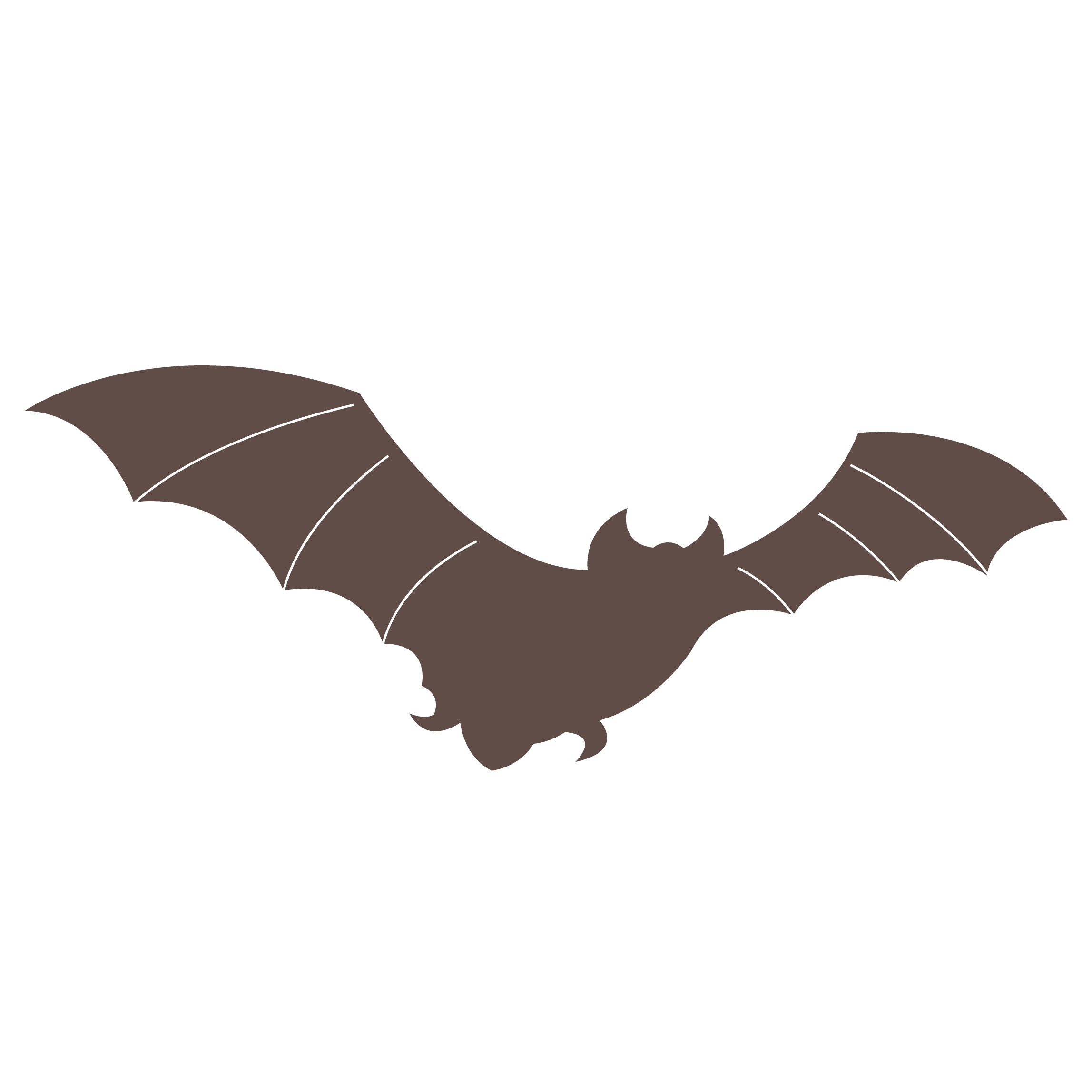 July 20 | Bat House Building Workshop