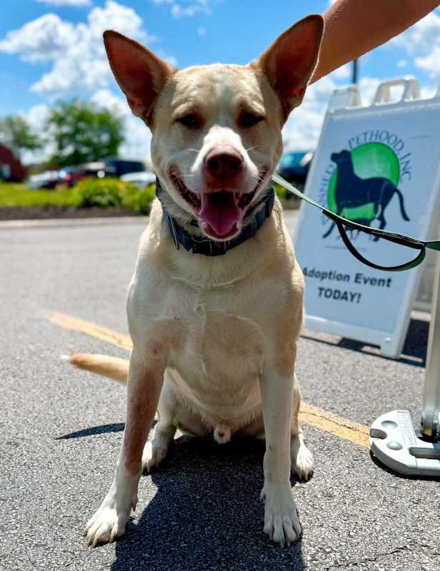 Baylor