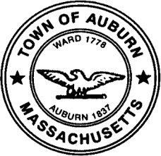 Auburn Town Cleanup