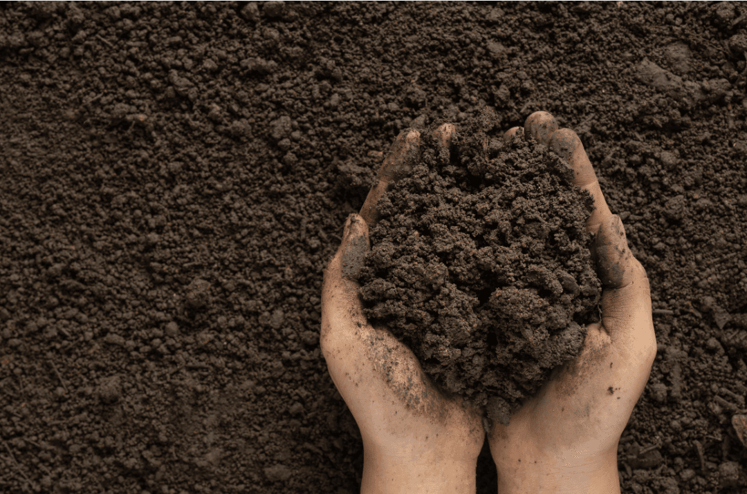 2025 Soil Health Week