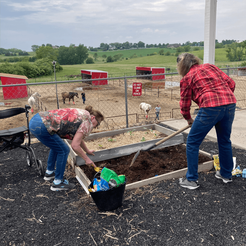 Mature Adults & Seniors