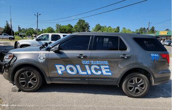 Municipalities & Government