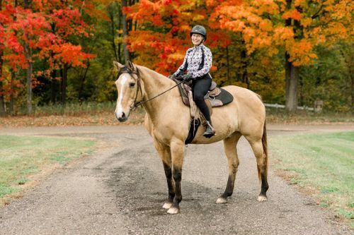 Judith Nevseta and Aztek Gold (MI)