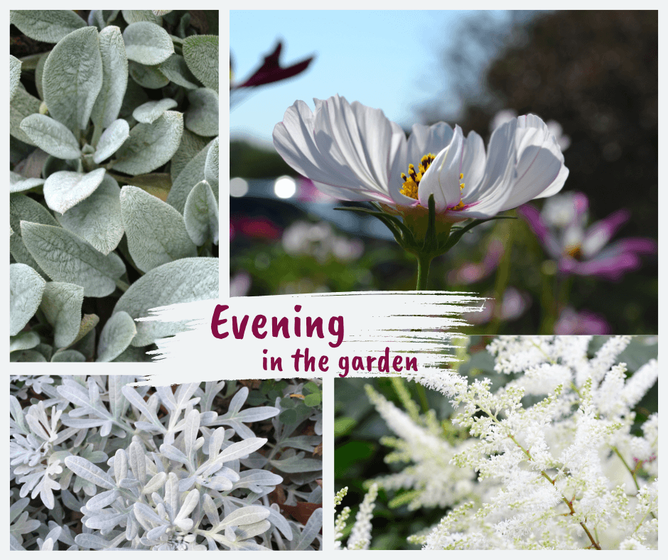 Evening in the Garden