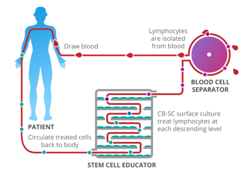 Practical Cure Update: Stem Cell Educator
