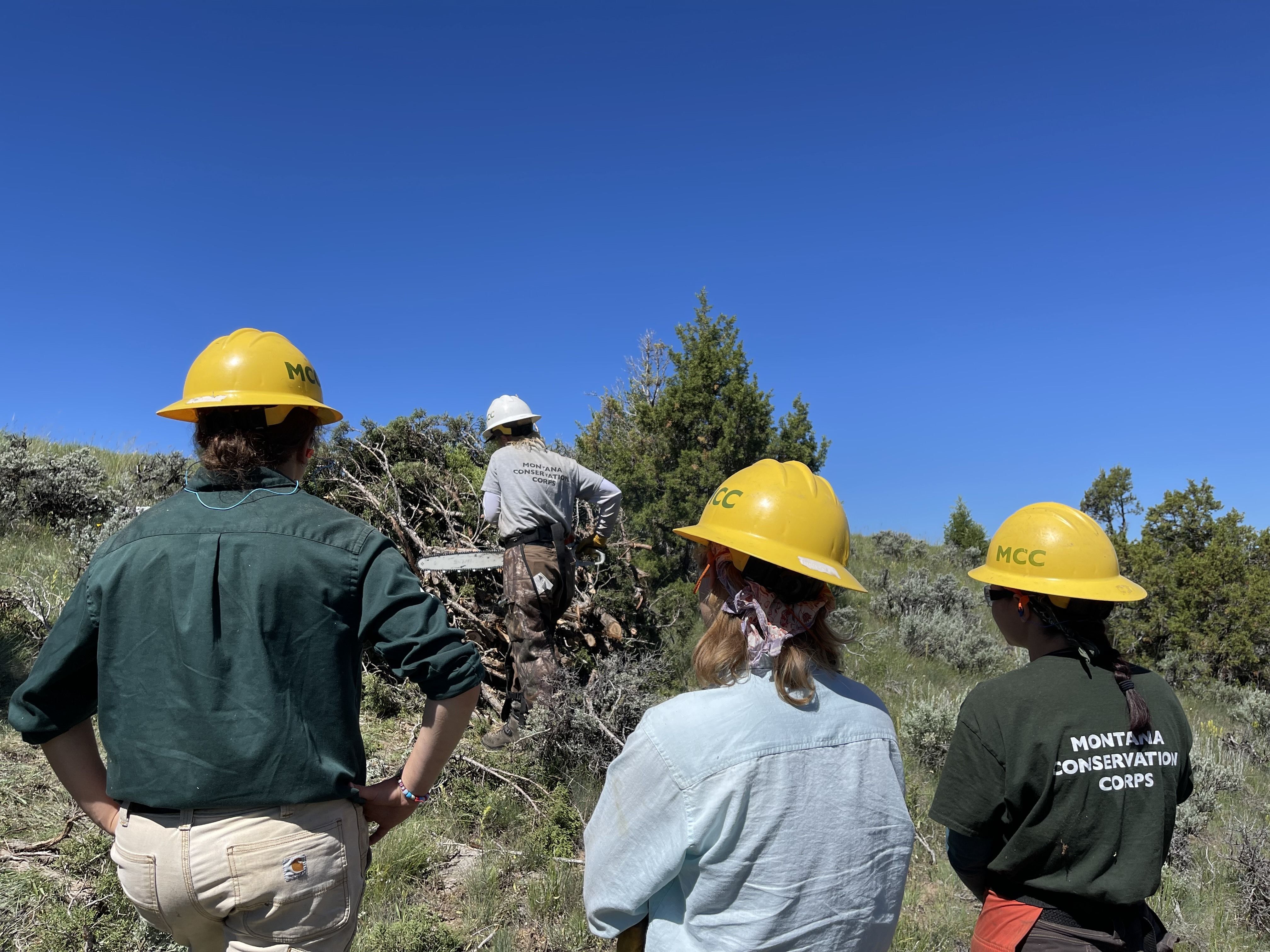 A crew stands watching a crew leader demonstrate sawing.