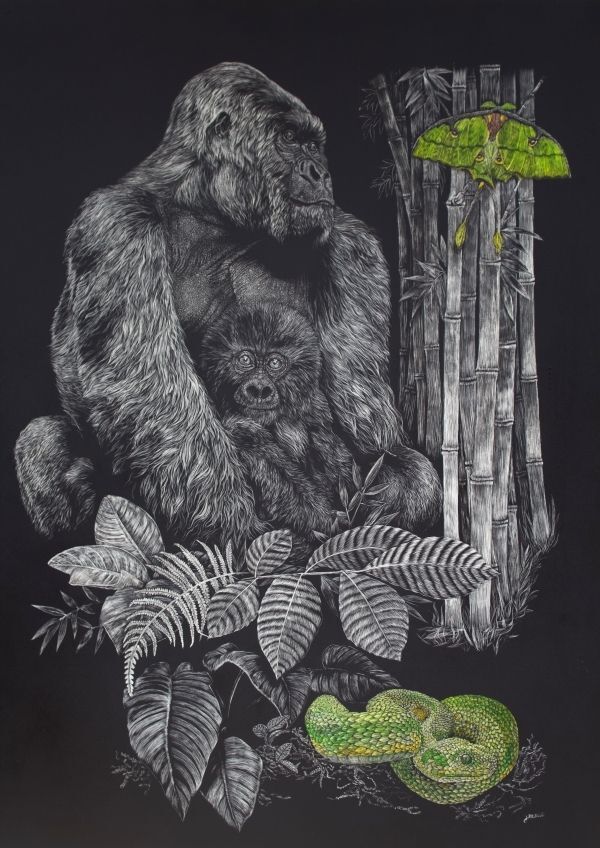 Mountain Gorilla - Bush Viper - African Moon Moth