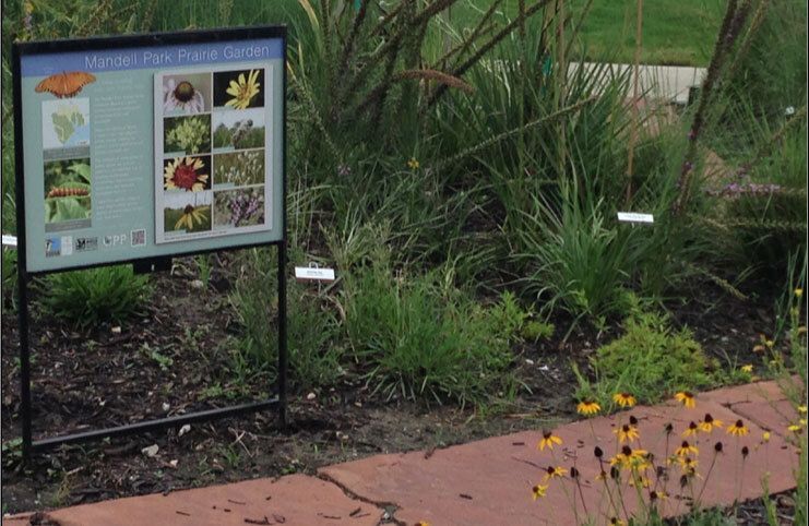 Mandell Park Prairie Garden