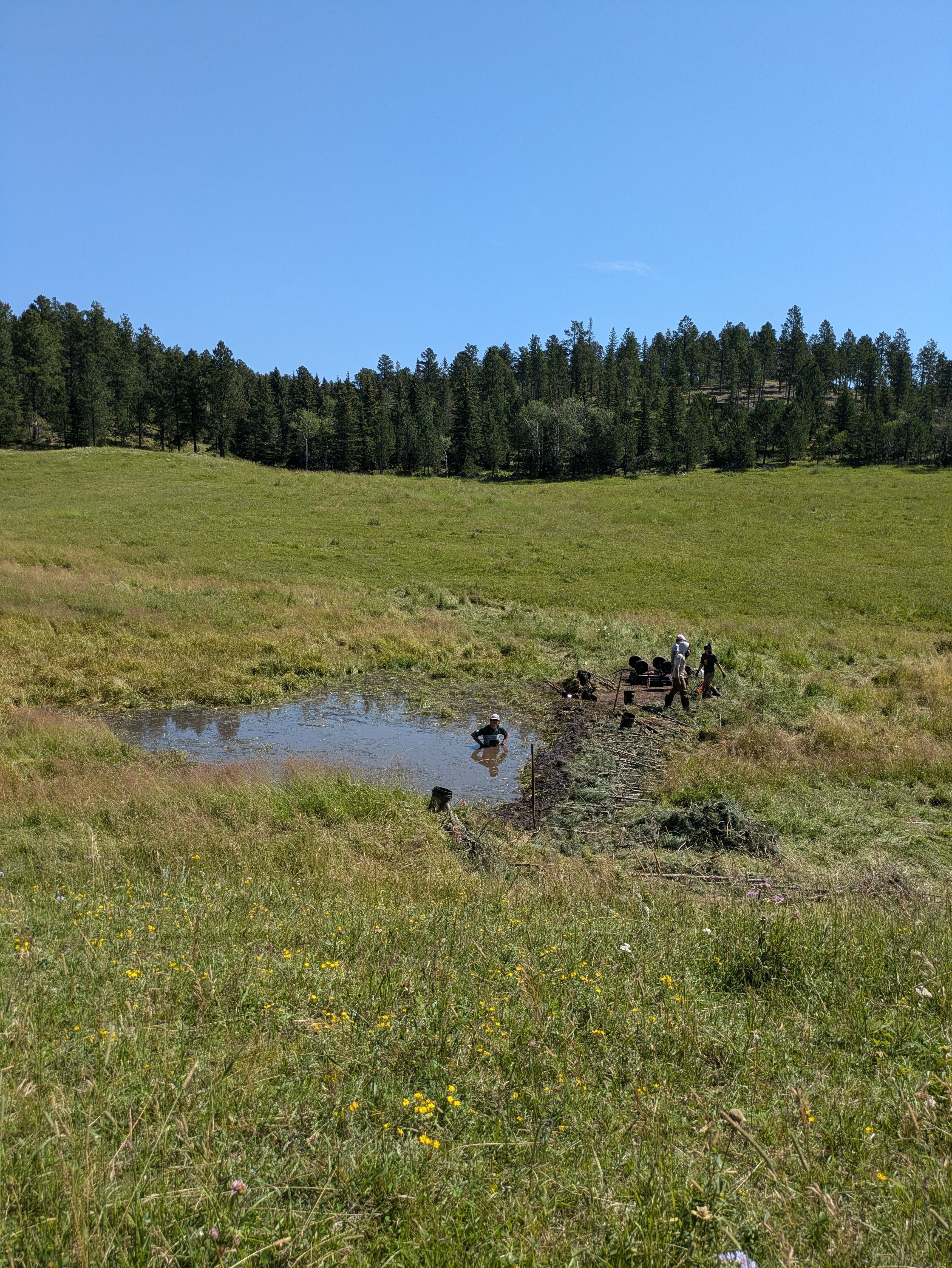 Black Hills Beaver Pool And Spa
