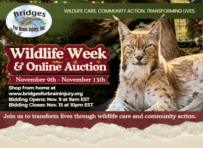 Learn more about Wildlife Week 2026