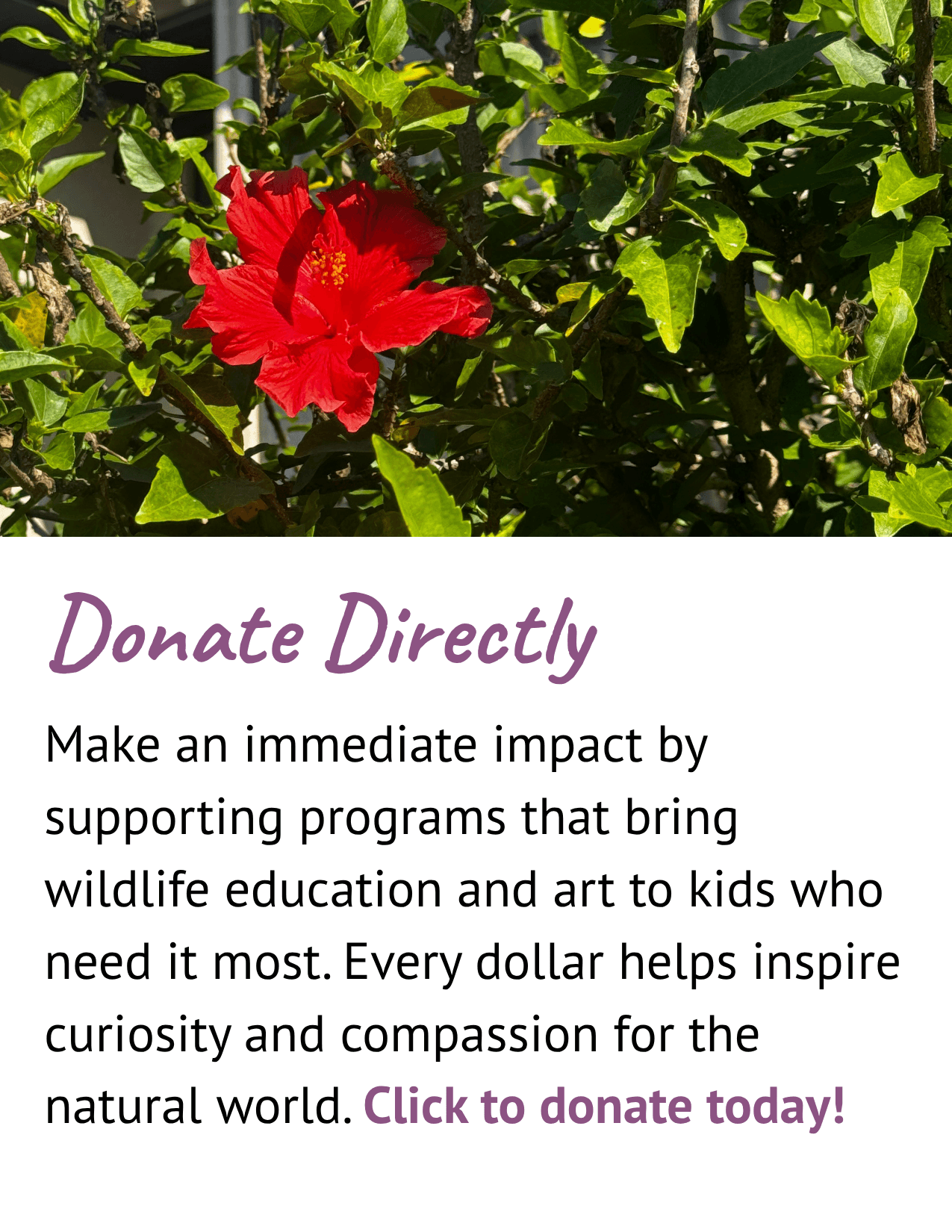 Donate