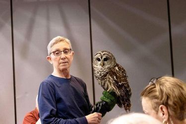 Barred Owl For Maryland Raptor Conservancy