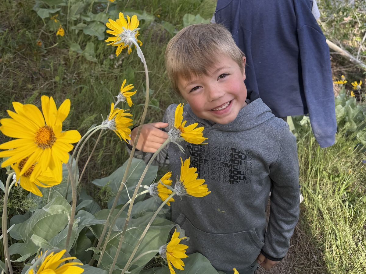 A young boy posing next to an Arrowleaf Balsamroot this spring.