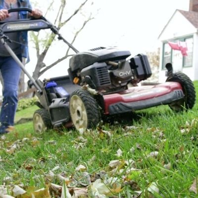 Leave it on the Lawn