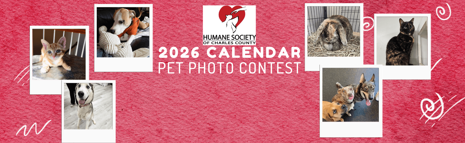 2026 Calendar Pet Photo Contest!
