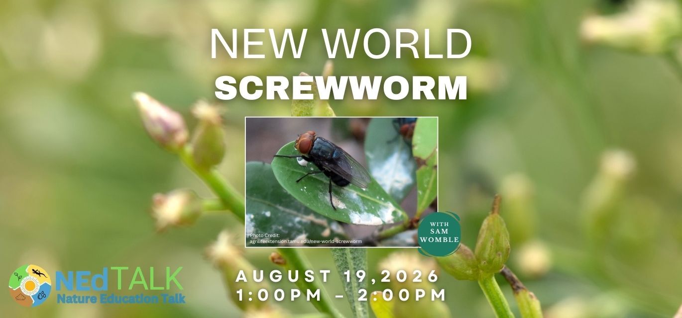 Nature Education Talk (Ned) Kerrville Texas