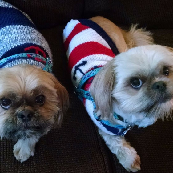 Lucky and Max