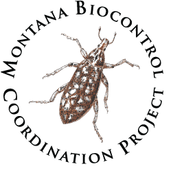 Montana Biocontrol Project