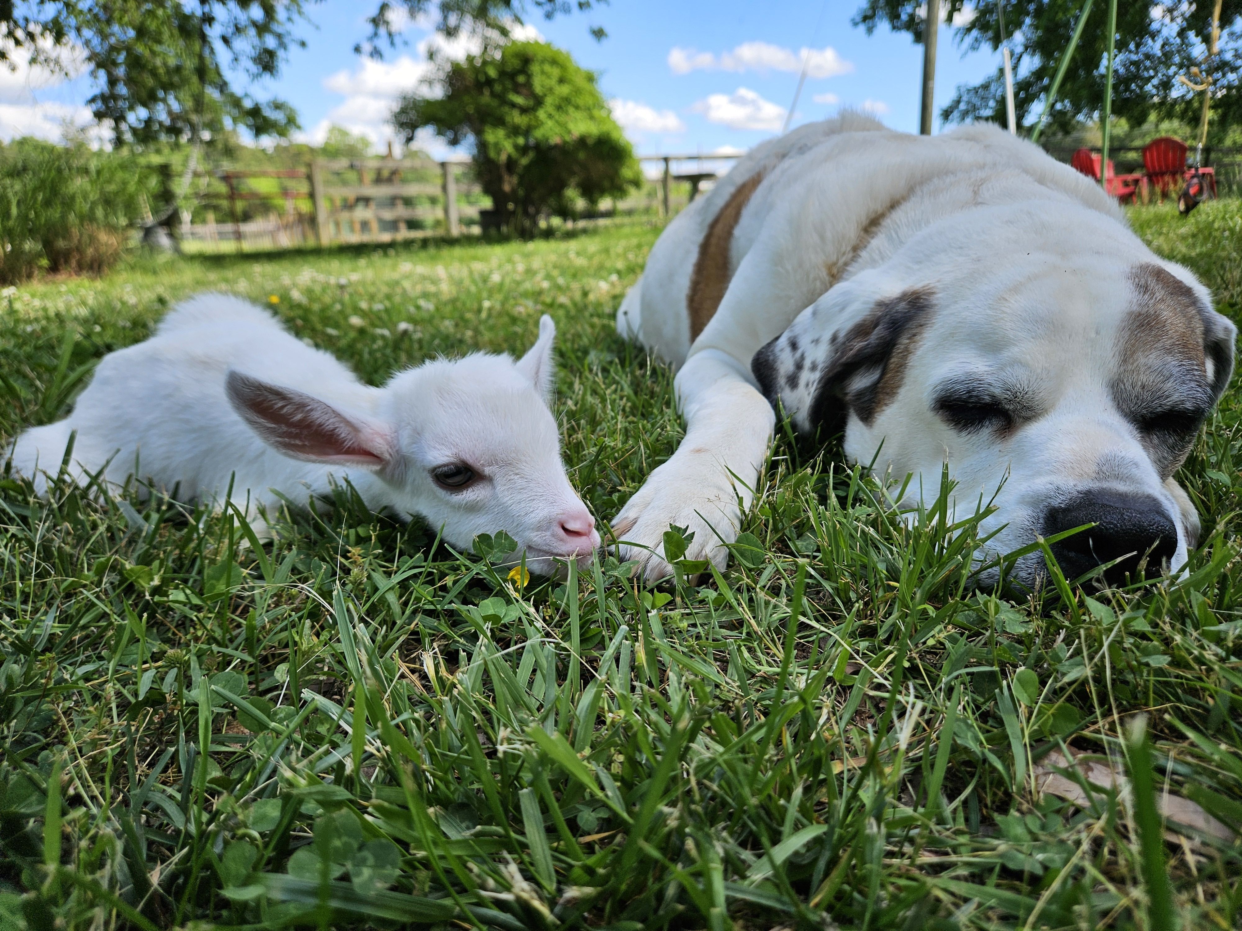 Laying with Baby Lucca