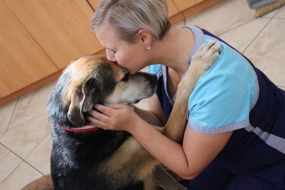 Celebrate National Dog Day