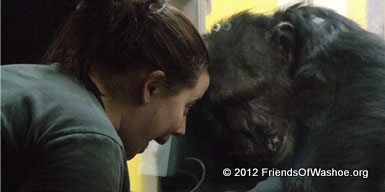 A graduate student plays with Loulis through the glass