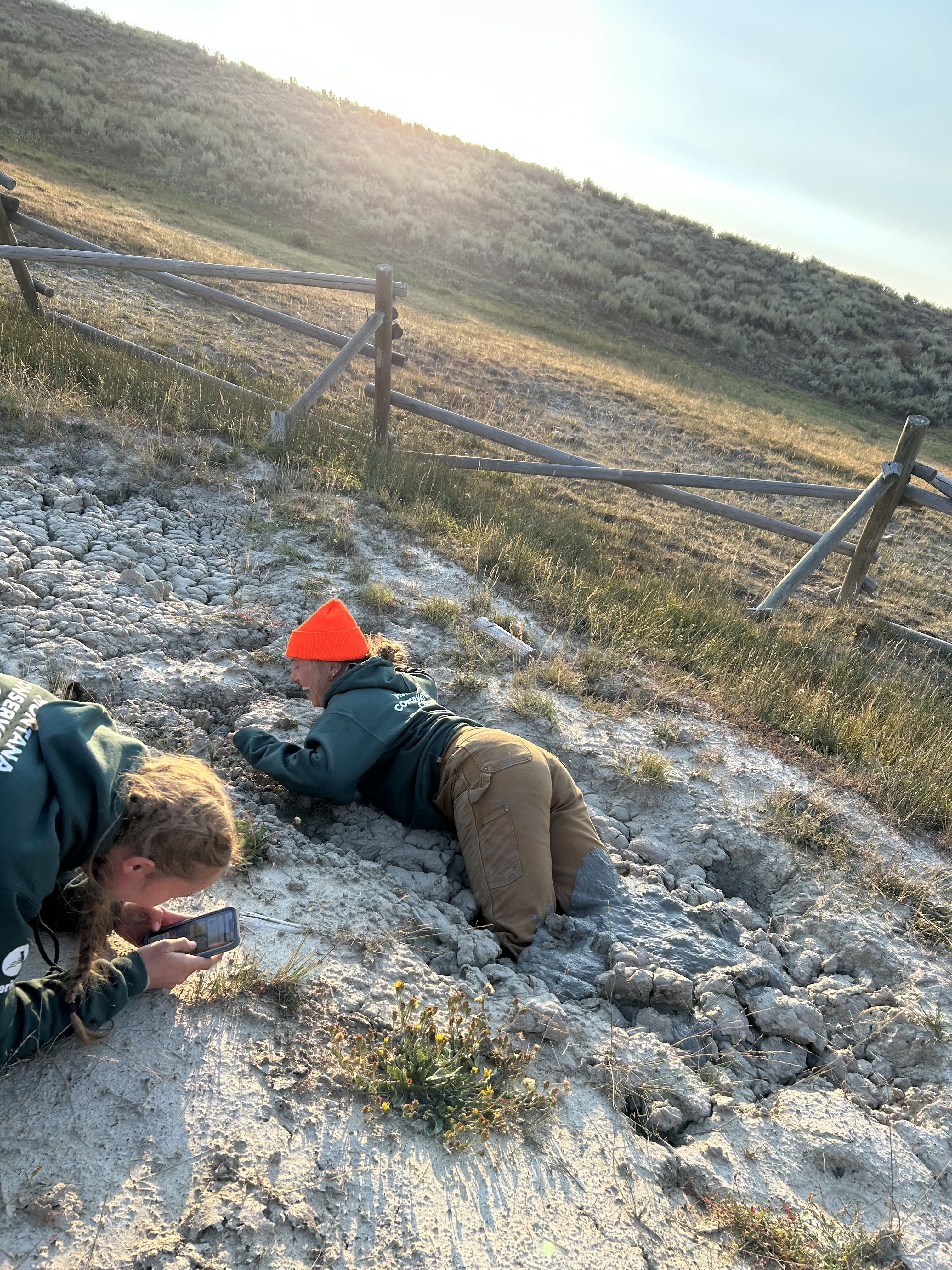 Beavin’ Around On The BLM