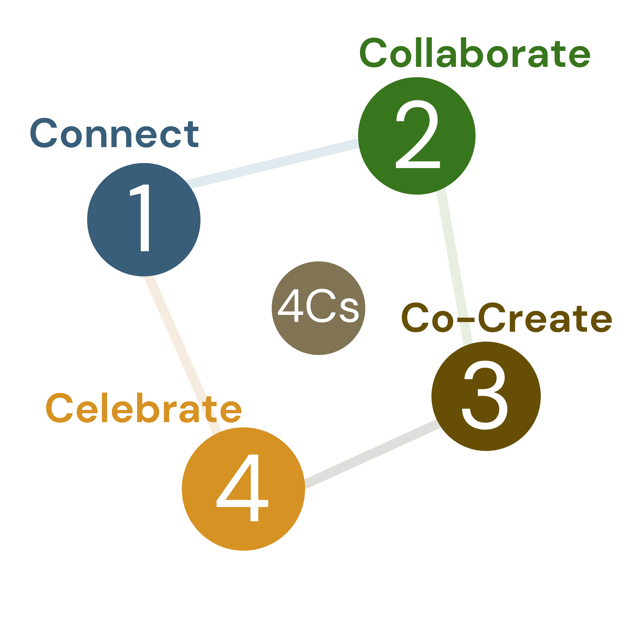 The four steps of WiseTribe's 4Cs community learning process
