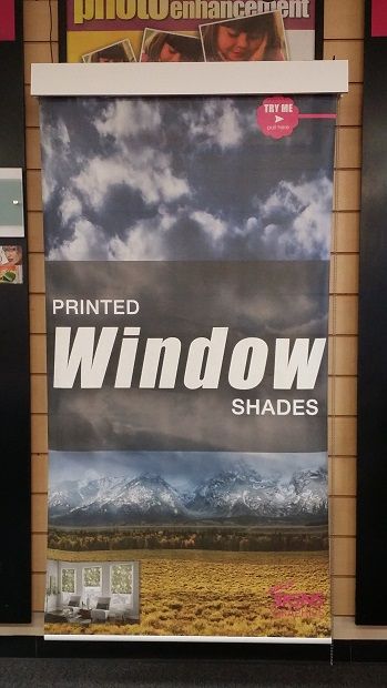 Printed Window Shade 