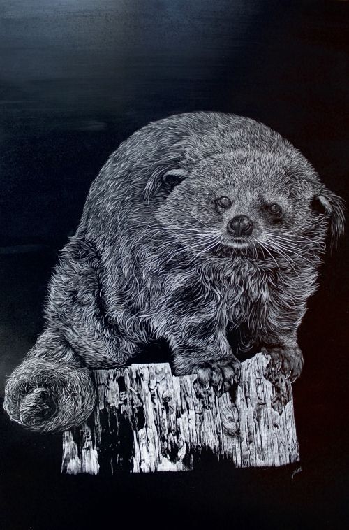 Binturong
