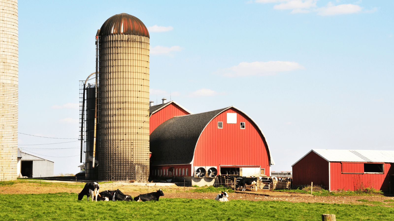 South Dakota Dairy Farms: Caring for Cows and Creation