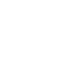 Perinatal Foundation