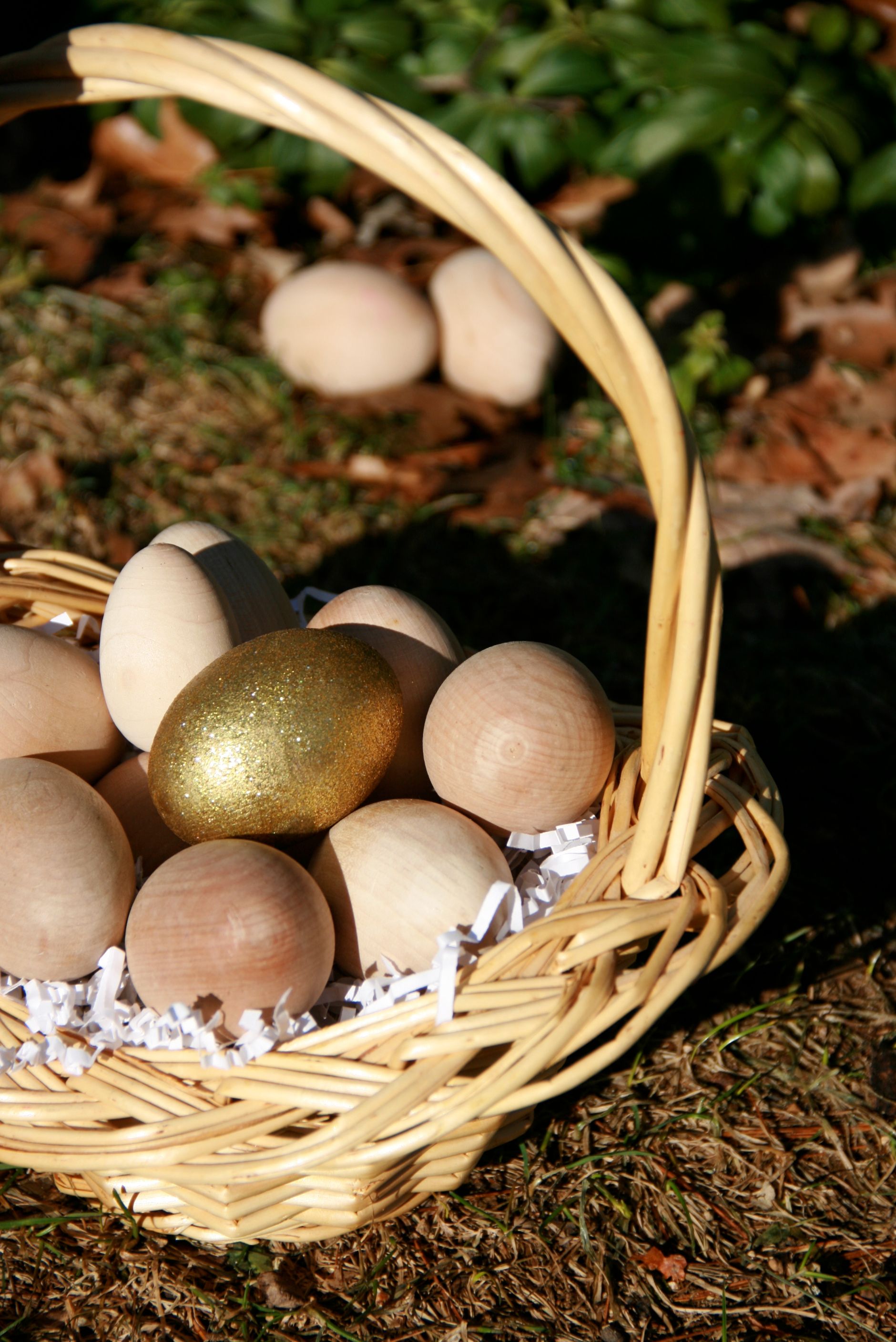 Camouflaged Egg Hunt this Saturday