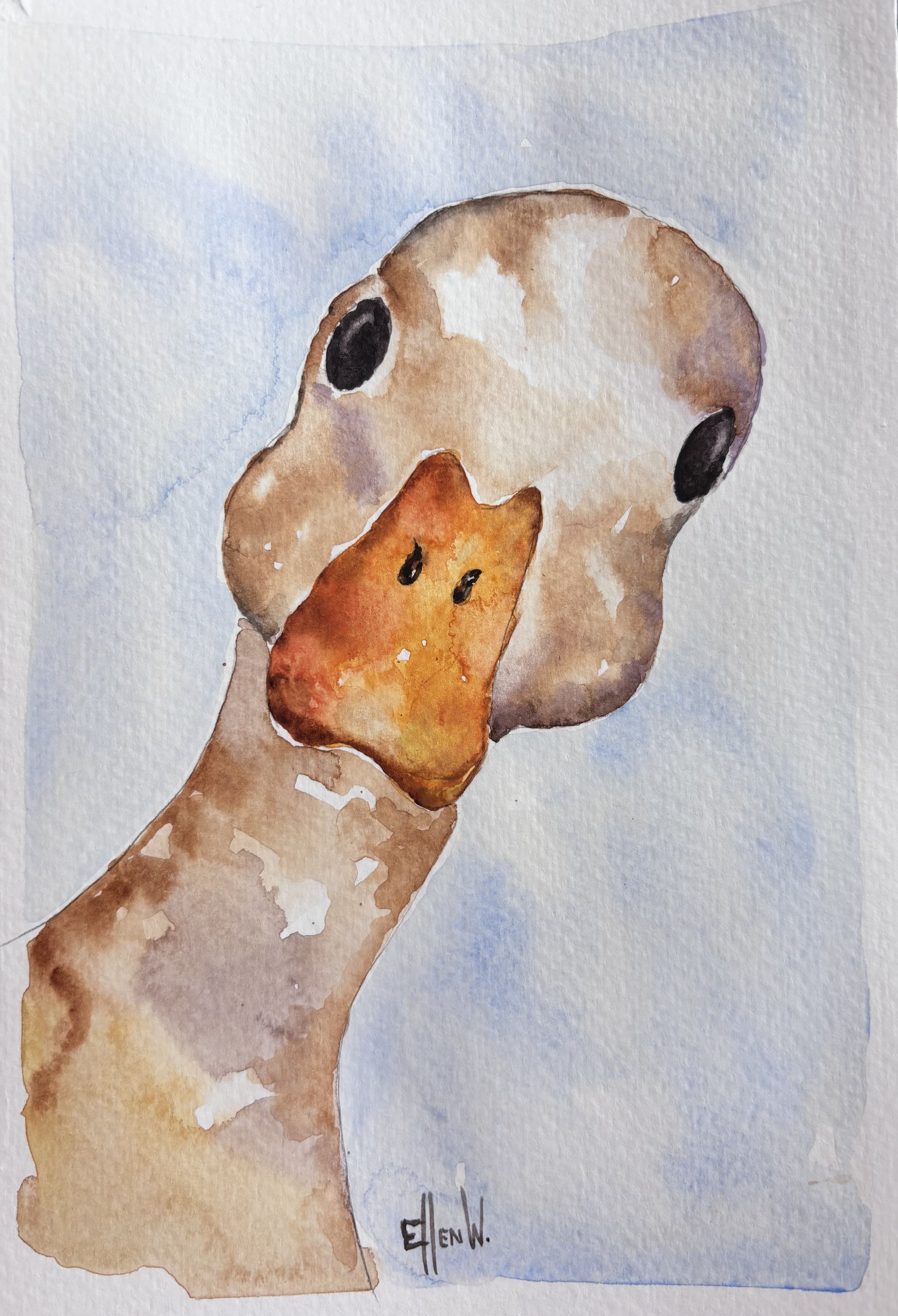 A duck's face at a diagonal angle.