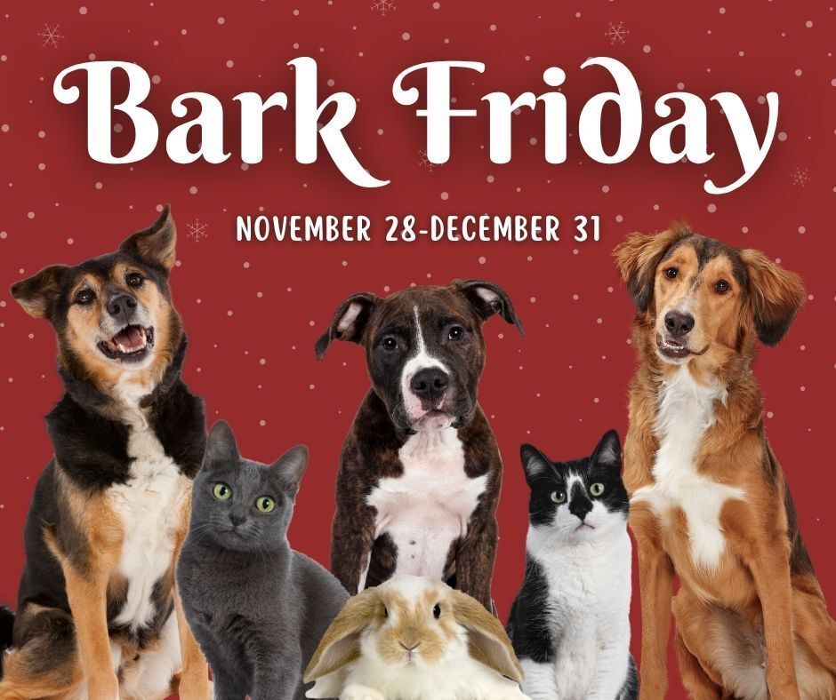 Give the Gift of Hope