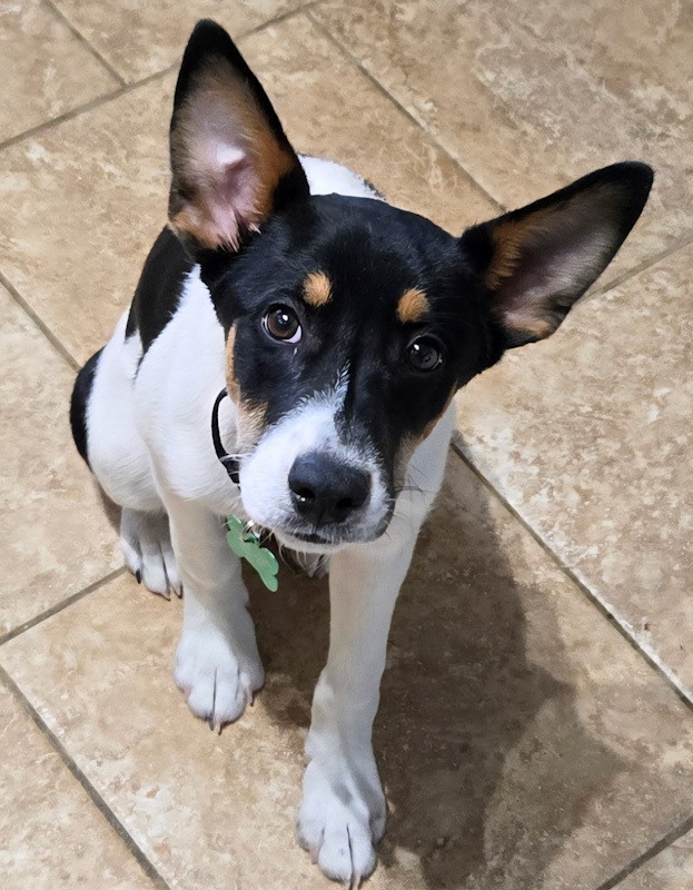 Ernest
