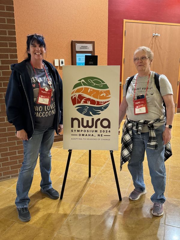 Understanding Daytime Raccoon Behavior