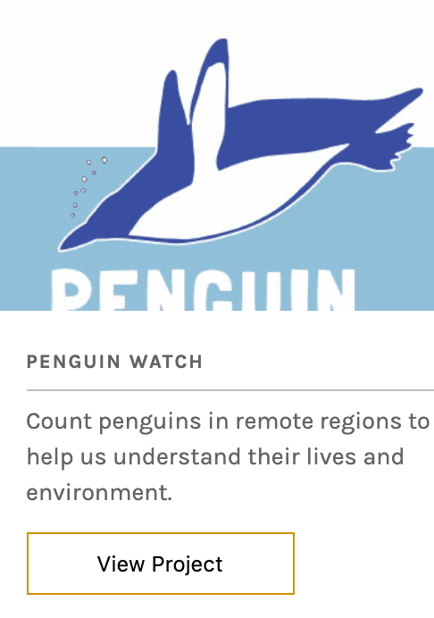 Zooniverse Penguin Watch