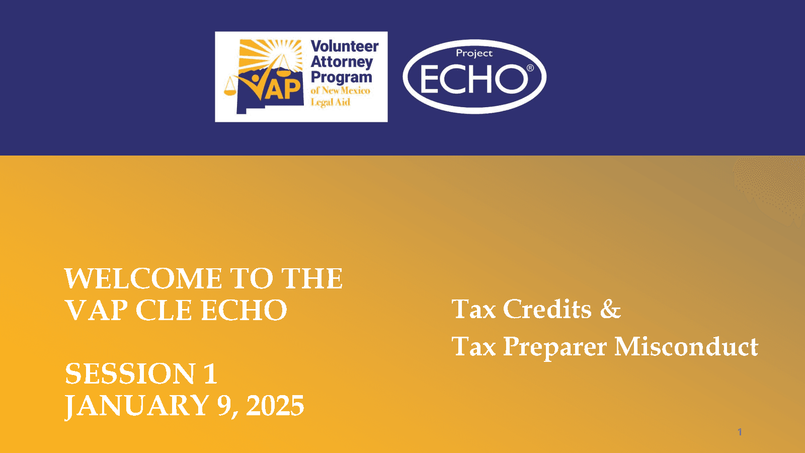 2025 Part 1/3 – Empowering Family Law Clients: Tax Credits & Tax Preparer Misconduct