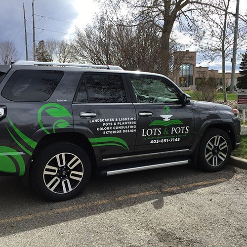 Vehicle Wraps