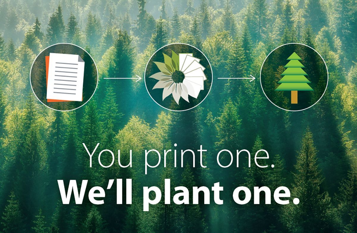 You print one. We'll plant one.