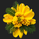 yellow flower