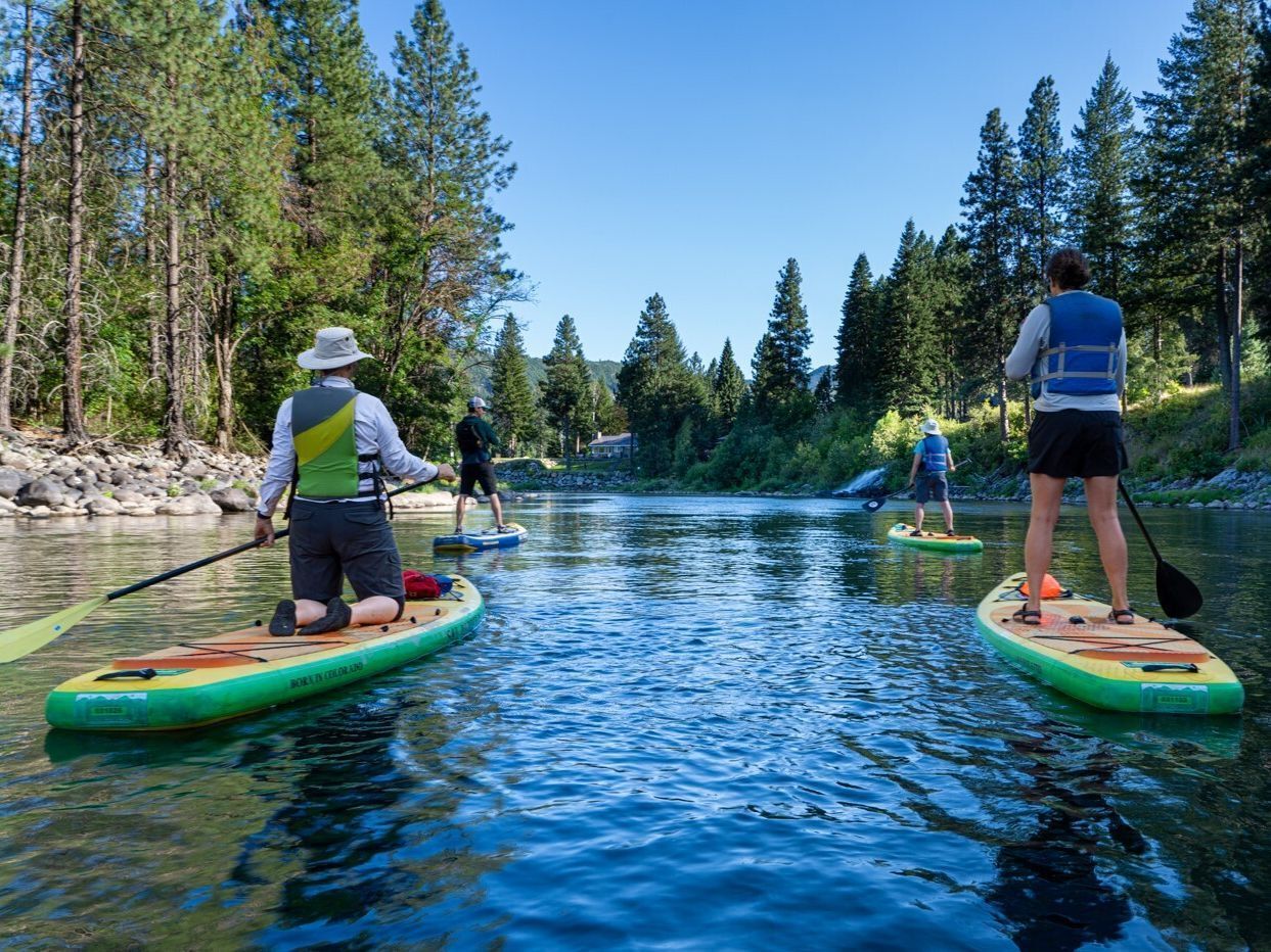 Paddleboarders float down a river. One kneels, others stand.